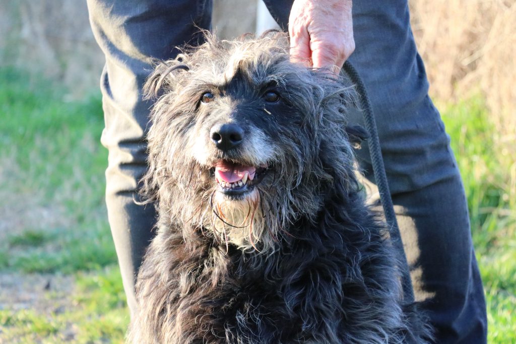 Kajla